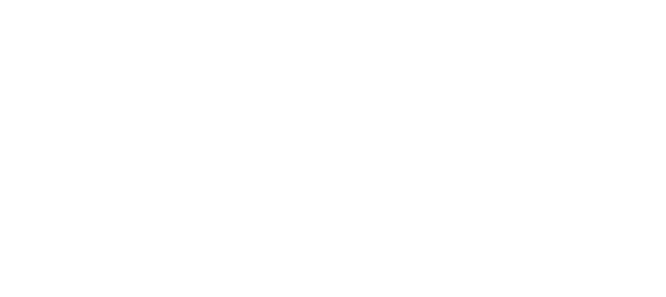 Fanatics